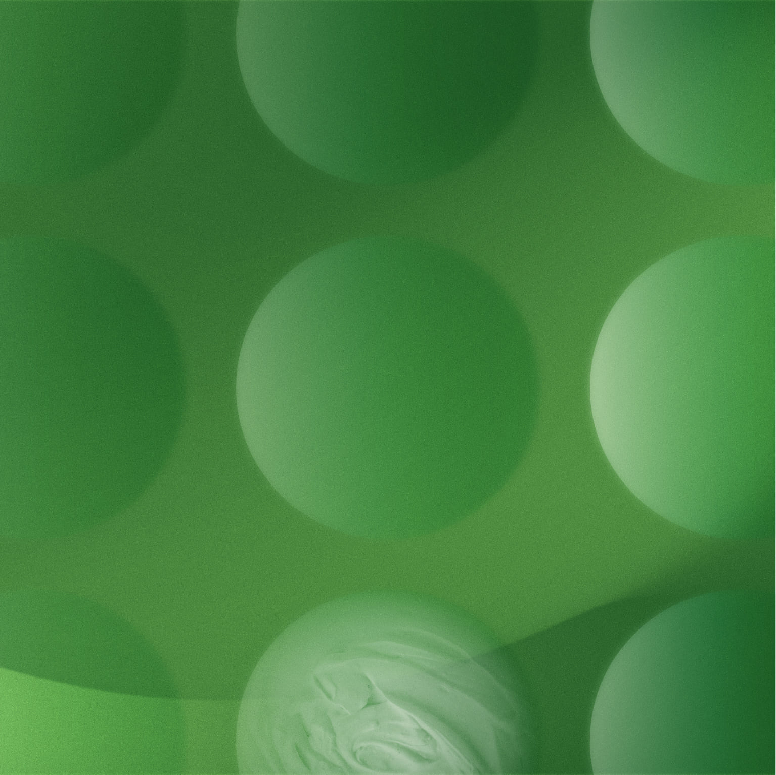 sociale - AREA Science Park, image size:1535x1534